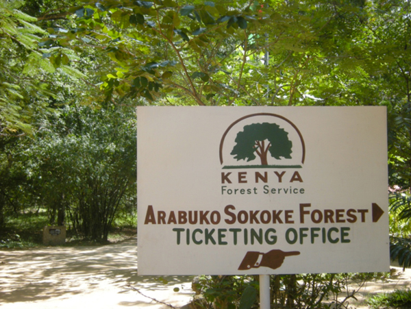 Bruce Byers Consulting Arabuko Sokoke Forest
