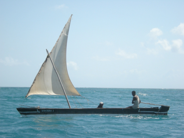 Bruce Byers Consulting Malindi Marine National Park