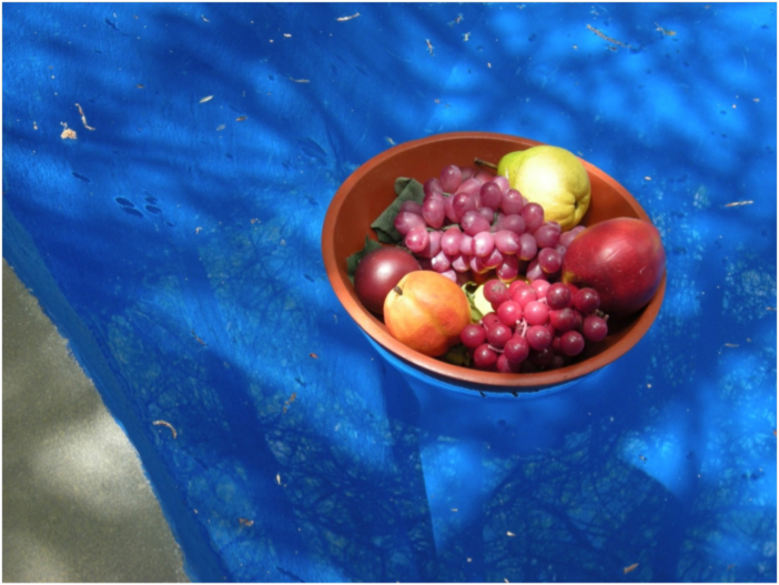 Bowl of fruit floating on the Finger Bowl