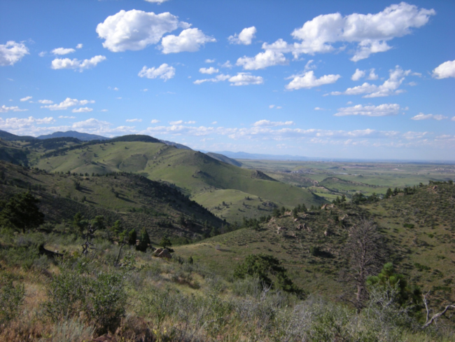 The view north along the foothills from Mt. Galbraith