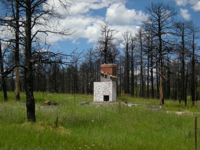 Remains of a house in a burned area of Black Forest