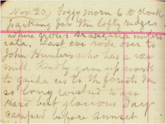 Fragment of Muir’s journal from 20 November, 1911