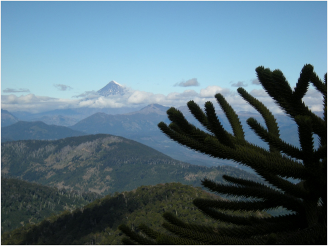 View from the mirador, with Volcán Lanín