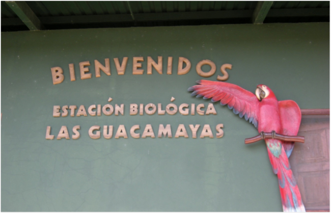 Welcome sign at the Estación Biológica las Guacamayas