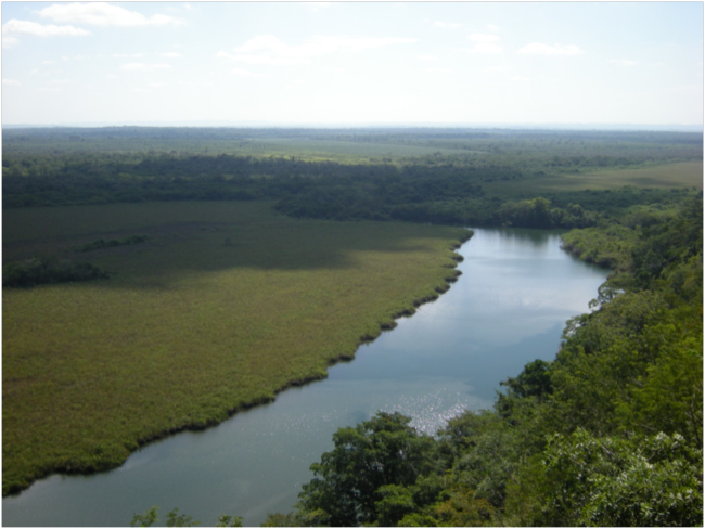 View westward down the Río San Pedro from the observation tower at the Biological Station