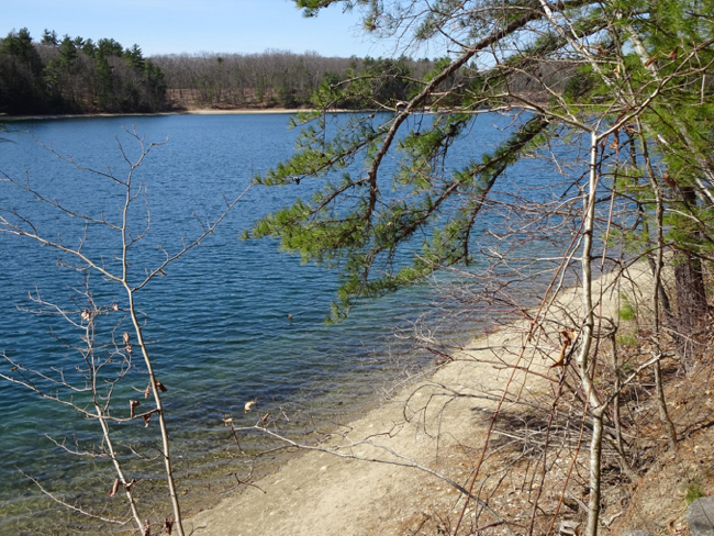 Walden from the Pond Path, 24 April 2018