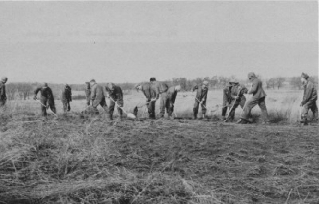 Civilian Conservation Core crew spading the soil of an old farm 