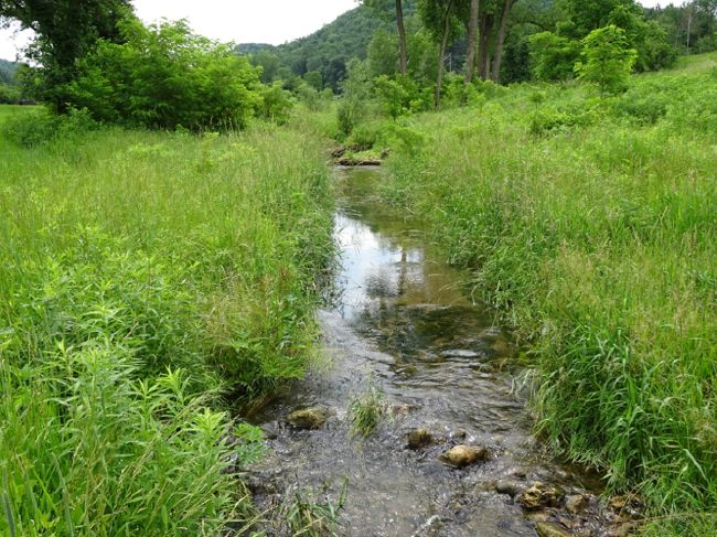 Repeat photo of the creek where erosion control measures were implemented on the Lee Farm, 22 June 2018.