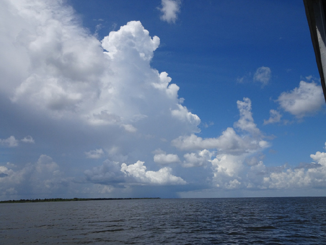 View across Lake Salvador from the Barataria Preserve.