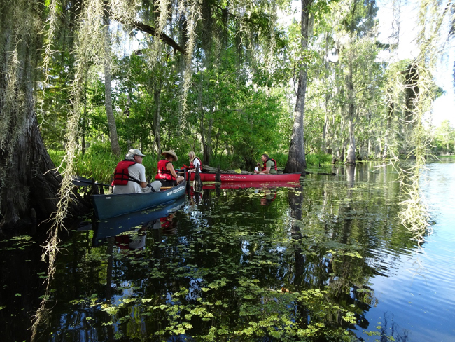 Lunchtime reverie on a bayou “lake” in the Manchac Swamp