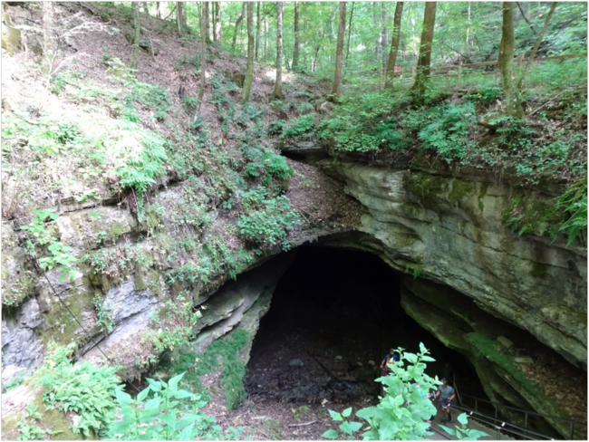 The historic natural entrance of Mammoth Cave