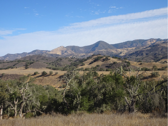 Looking north across Sedgwick valleys and ridges to Grass Mountain and Zaca Peak