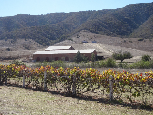Main bodega for storing and maturing wine built by Justinian Caire at the Santa Cruz Island Ranch (photo by B. Byers)