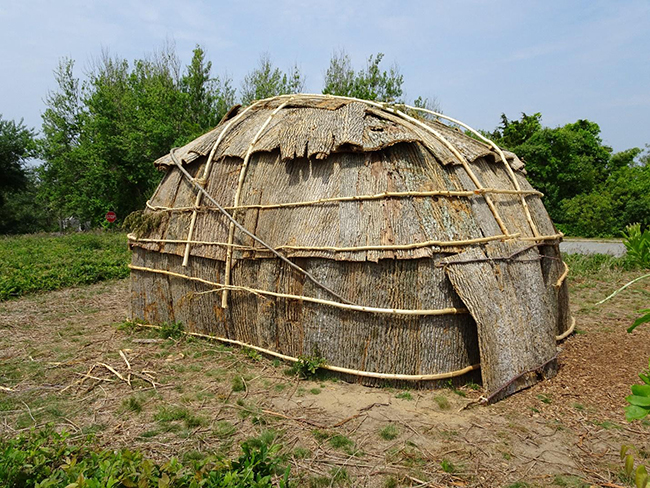 Traditional bark-covered Wampanoag house, a wetu, reconstructed 
at Highland House Museum 	June 2023