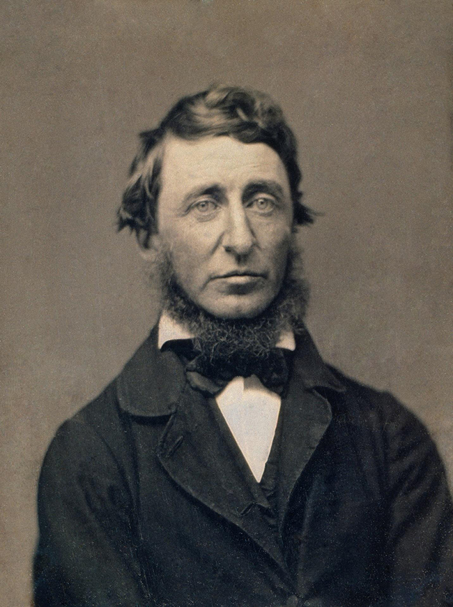 The first of only two photographs of Thoreau, June 1856
