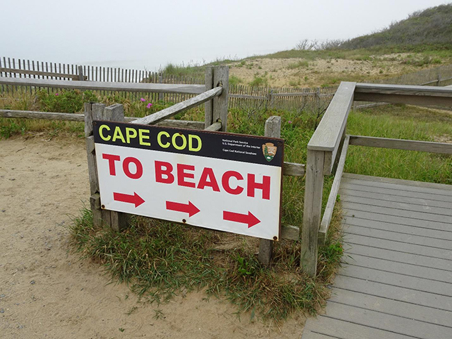 Path from the parking lot to Nauset Light Beach, Cape Cod National Seashore June 2023