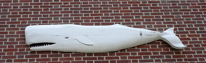 Moby Dick bas-relief over a doorway at the New Bedford Whaling Museum