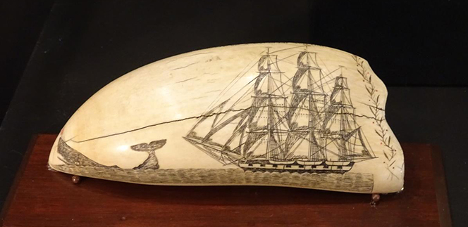 Scrimshaw on a sperm whale tooth, New Bedford Whaling Museum