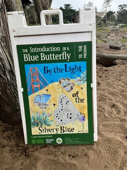 Silvery Blue reintroduction informational poster, (artwork by butterfly illustrator Liam O’Brien)