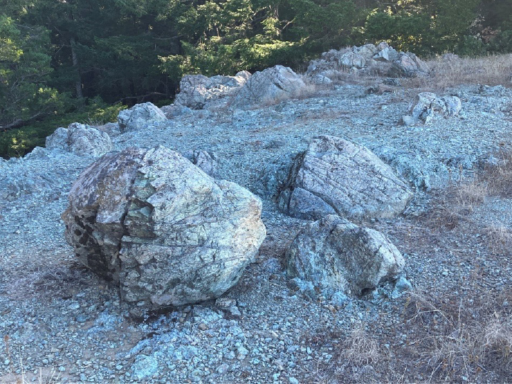 Serpentine outcrop on trail from Bay Tree Glade to Rock Spring