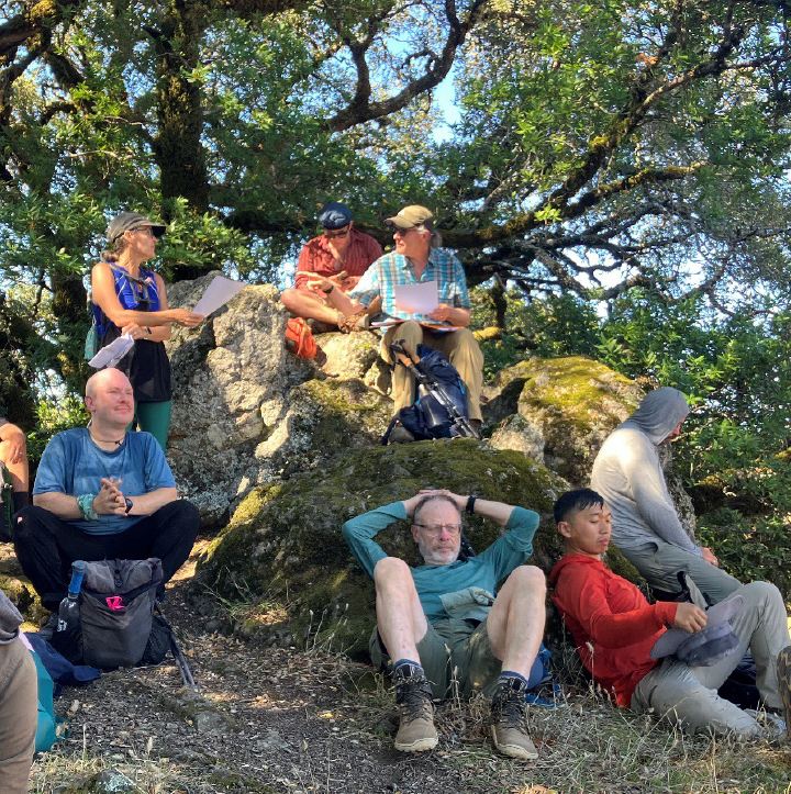 CircumTambulators at Bay Tree Glade