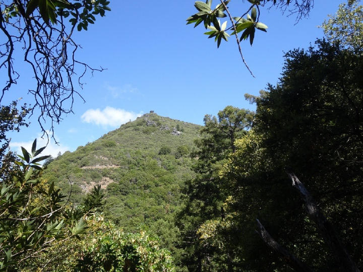 East Peak from the North Side Trail,
Mount Tamalpais Circumambulation, June, 2021.
