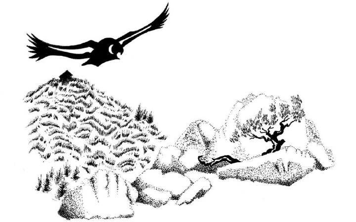 Frontispiece illustration for Nature on the Edge, by Robin L. Chandler