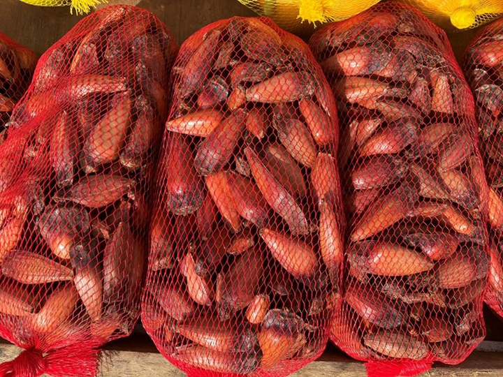 Pinhōes, 1 kg (2.2 lbs) for 20 Brazilian reais (R$),
about $4.00 US, at a sidewalk stand in Curitiba, June 2026