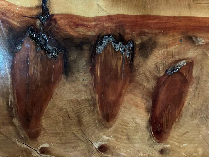 Closeup of tabletop at Parador Pôr do Sol
(dark wood are branch cores)